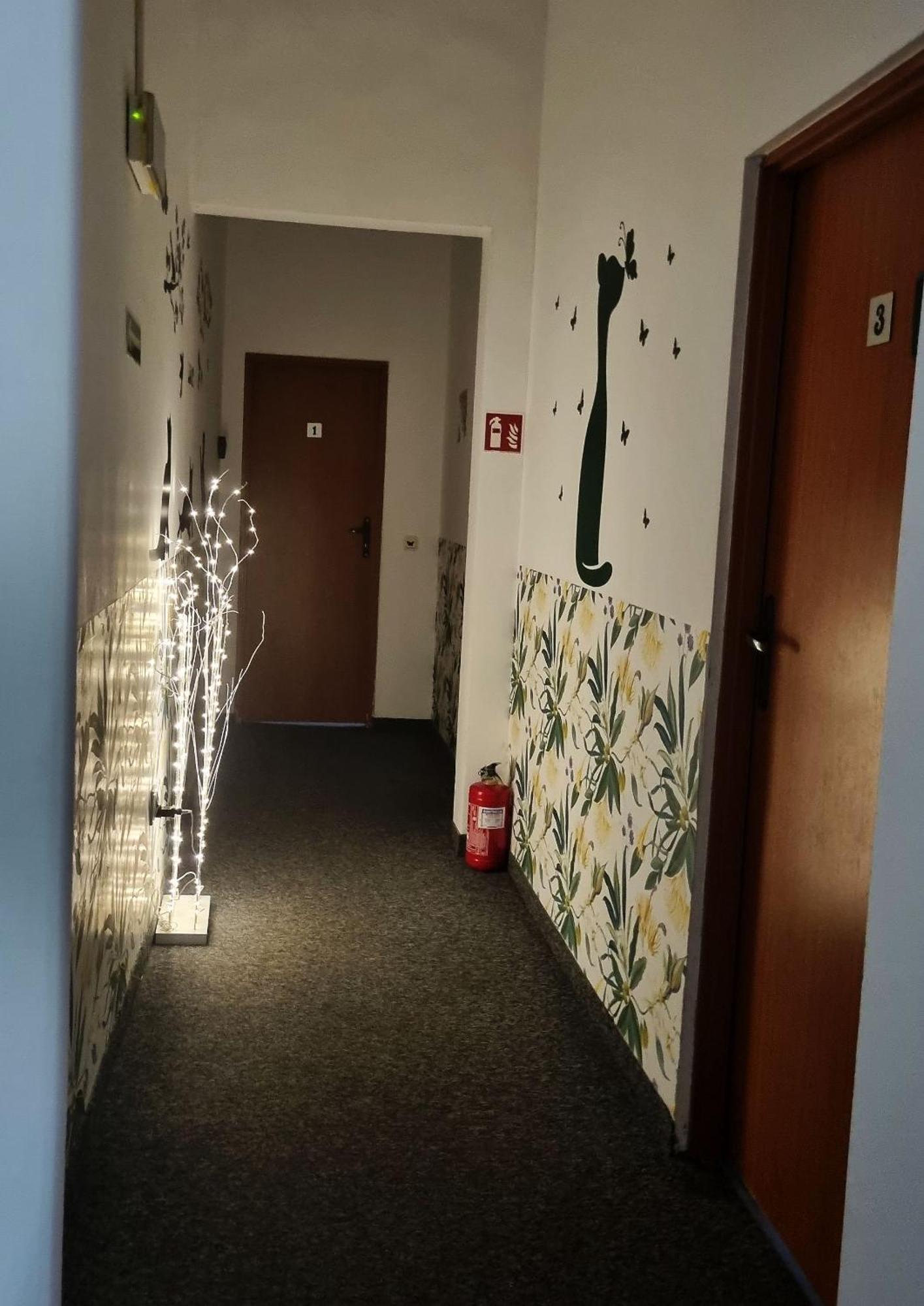 Green Cat Rooms — Zdjęcia 1